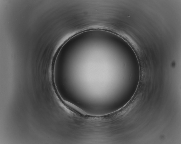 X0000094970902200712061425