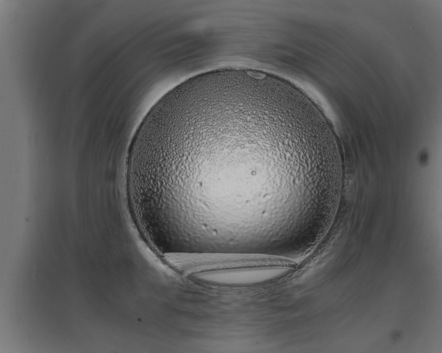 X0000094970903200712061425