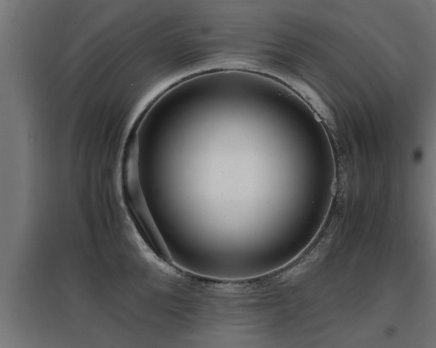 X0000094970904200712061425