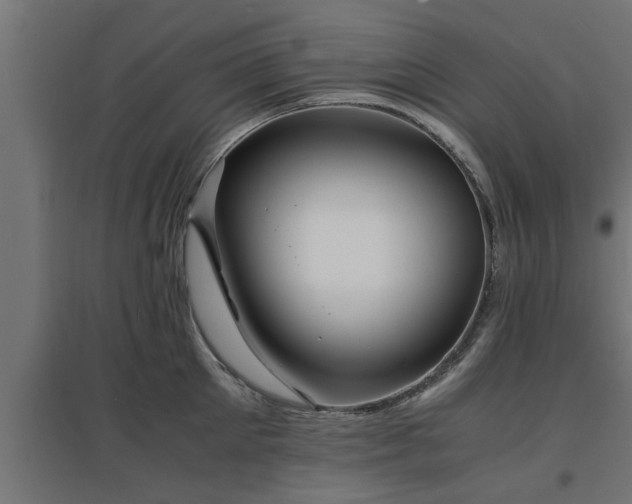 X0000094970905200712061425