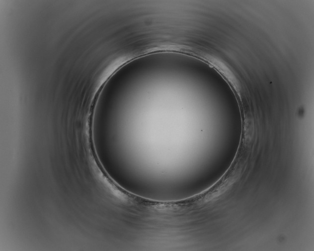 X0000094970906200712061425