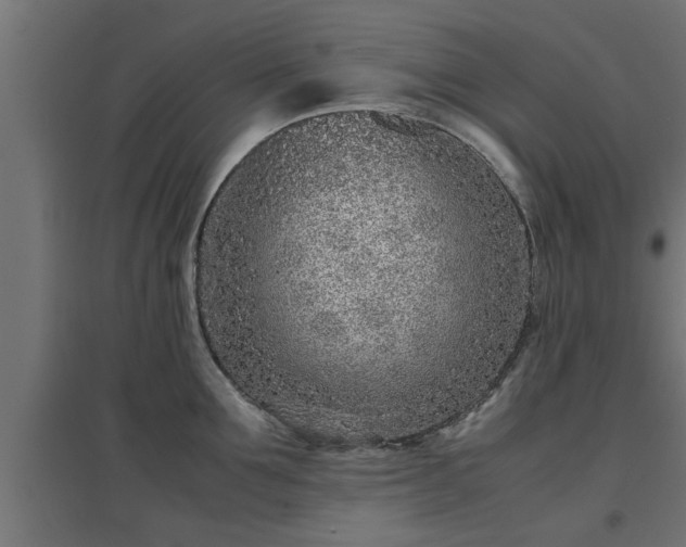 X0000094970907200712061425