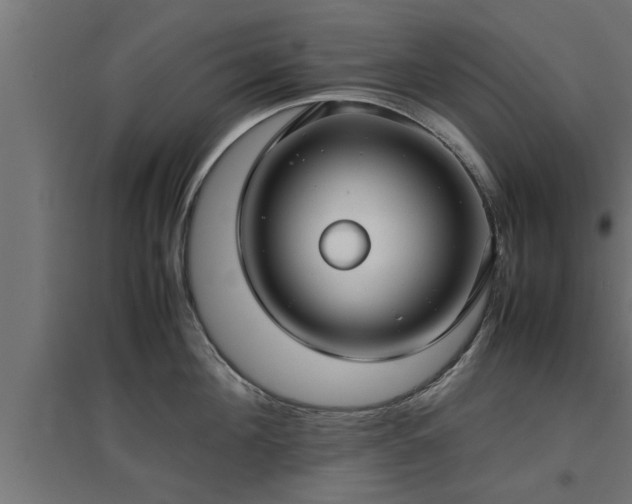 X0000094970908200712061425