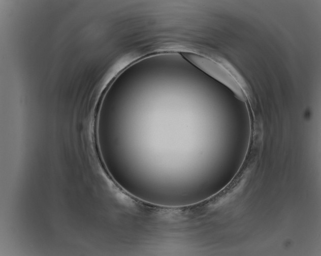 X0000094970909200712061425