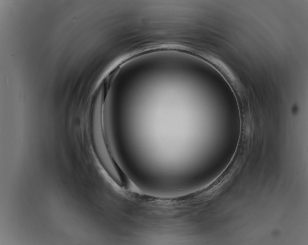 X0000094970910200712061425