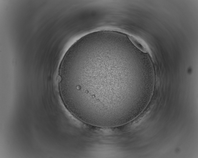 X0000094970911200712061425