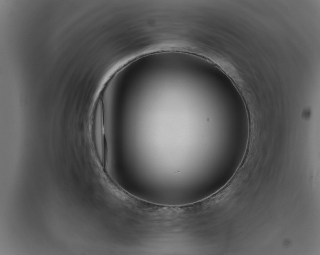 X0000094970912200712061425