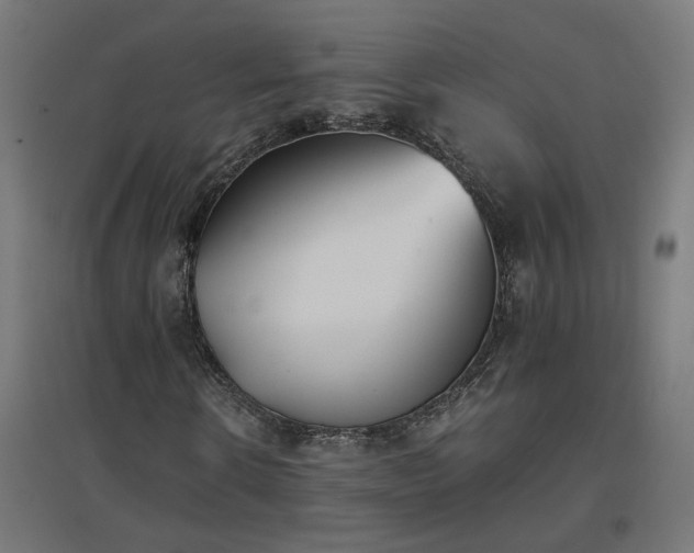 X0000094970914200712061424