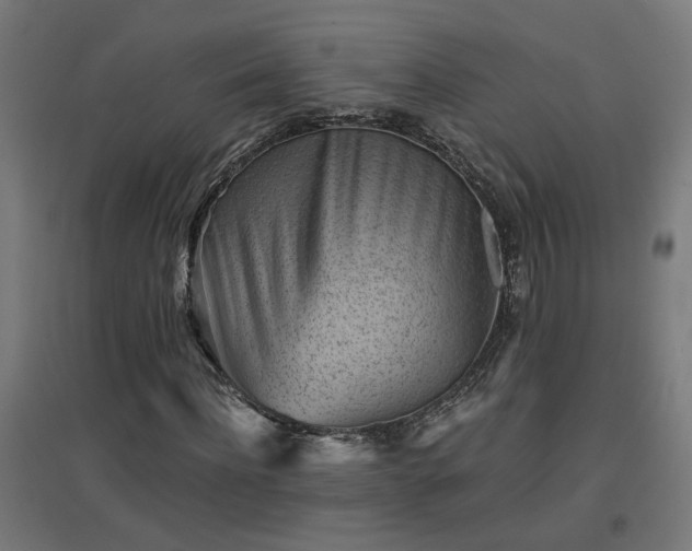 X0000094970916200712061424