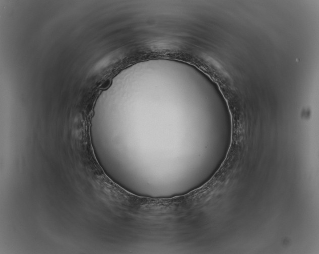 X0000094970917200712061424