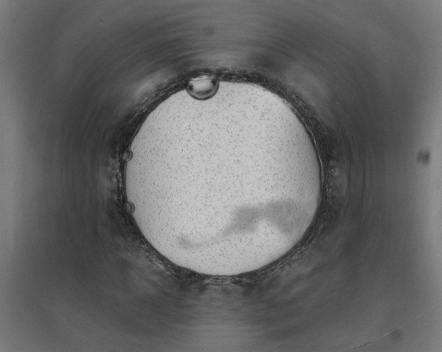 X0000094970918200712061424