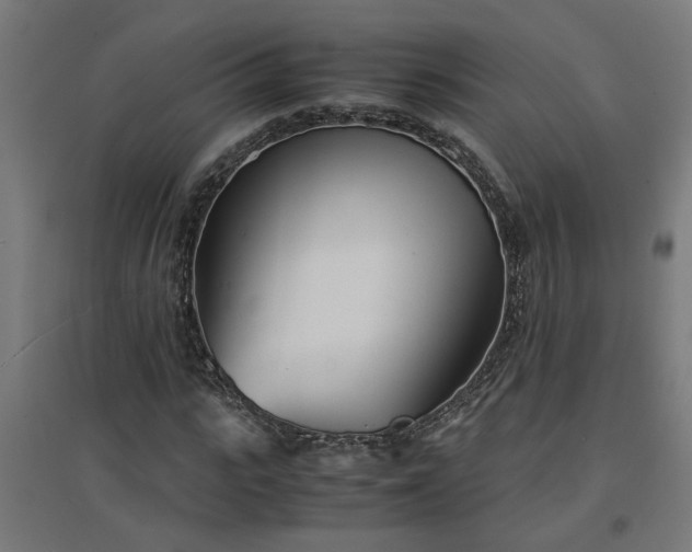 X0000094970919200712061424