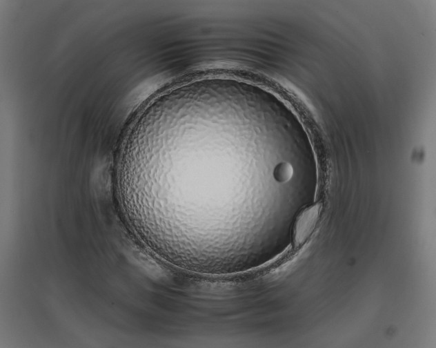 X0000094970921200712061424