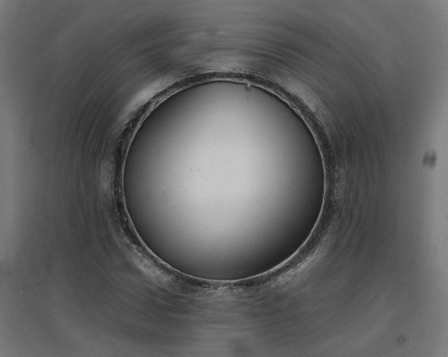 X0000094970922200712061424