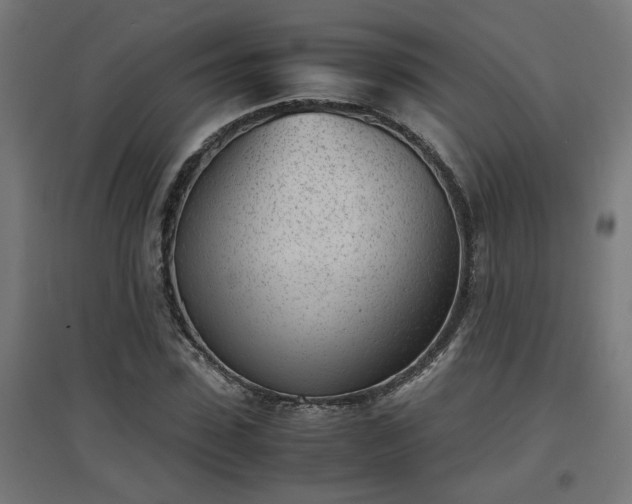 X0000094970923200712061424