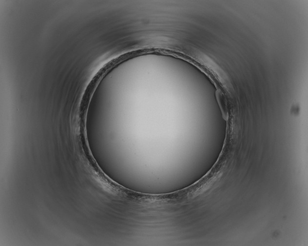 X0000094970924200712061424