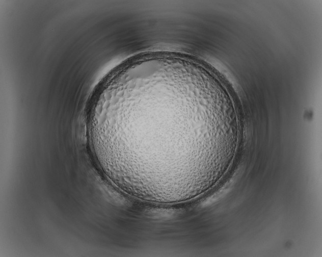 X0000094970925200712061424