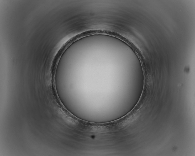 X0000094970927200712061424