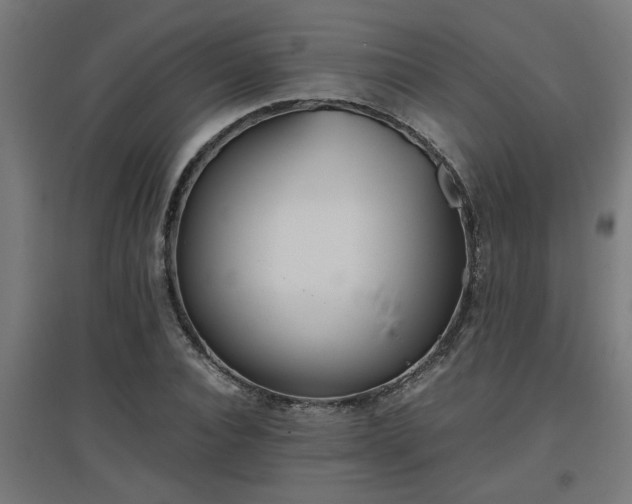 X0000094970928200712061424