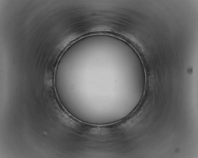 X0000094970929200712061424