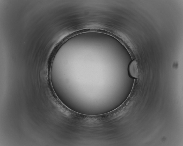 X0000094970931200712061424