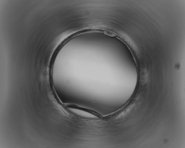 X0000094970932200712061424