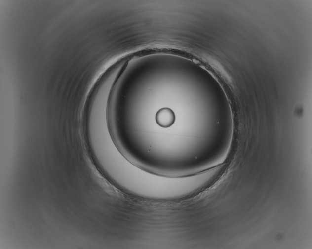 X0000094970934200712061424