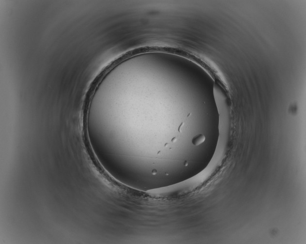 X0000094970935200712061424