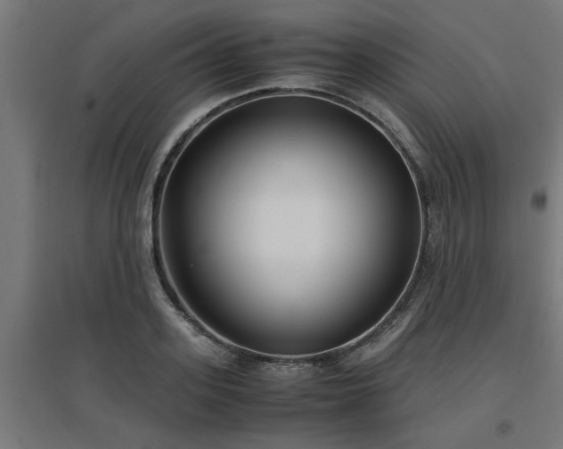 X0000094970939200712061424