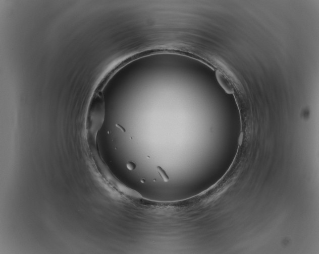 X0000094970940200712061424