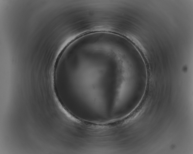 X0000094970941200712061424