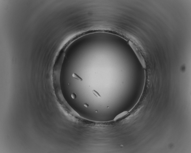 X0000094970942200712061424