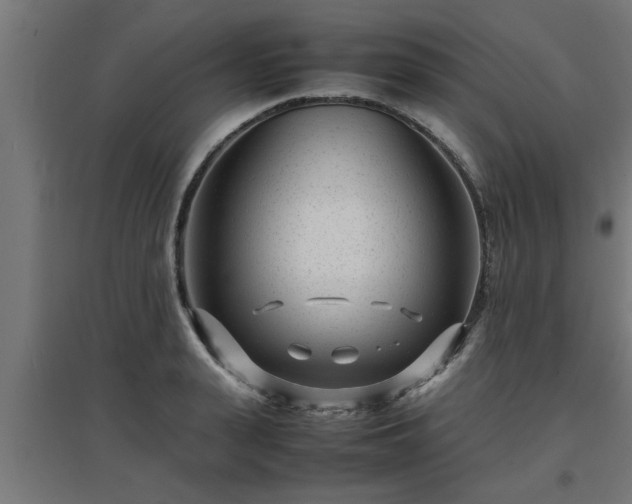 X0000094970943200712061424