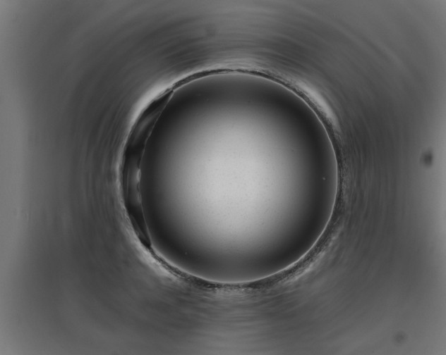 X0000094970944200712061424