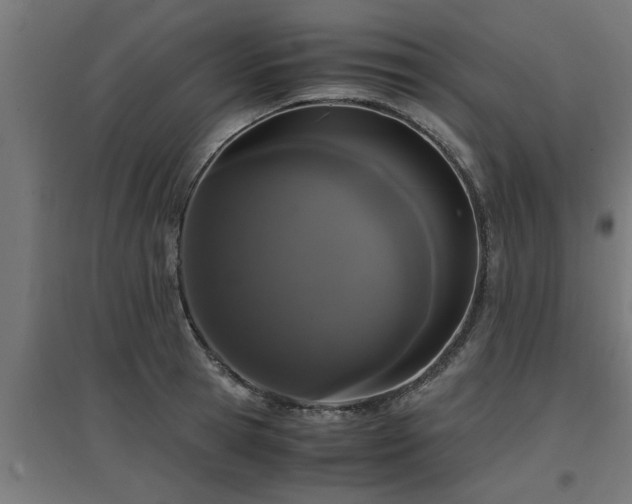 X0000094970945200712061424