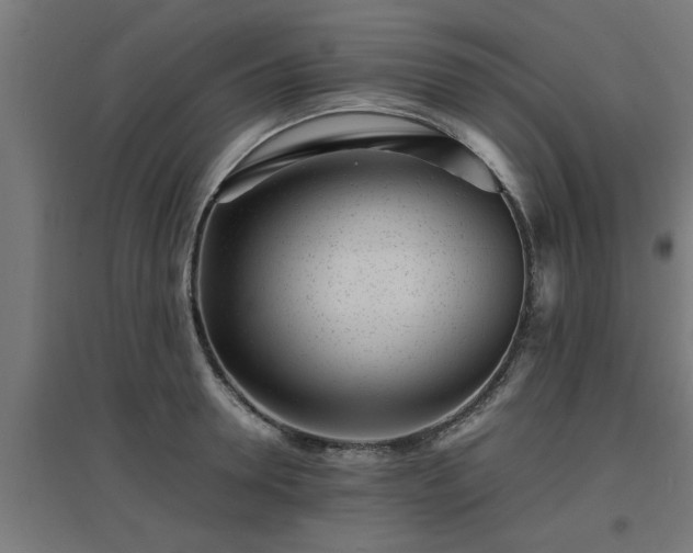 X0000094970946200712061424