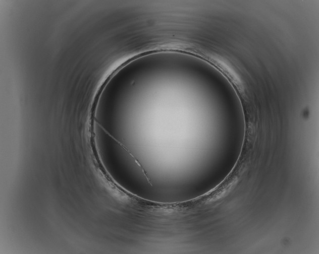 X0000094970948200712061425