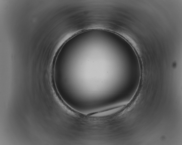 X0000094970949200712061425