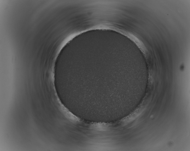 X0000094970950200712061425