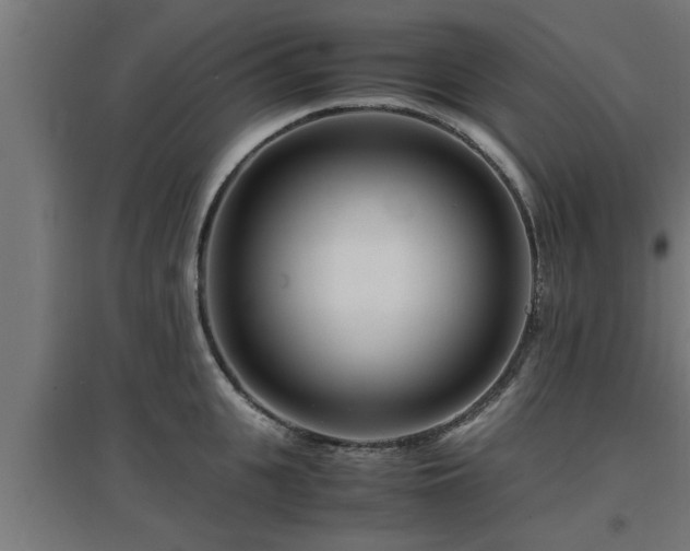 X0000094970951200712061425