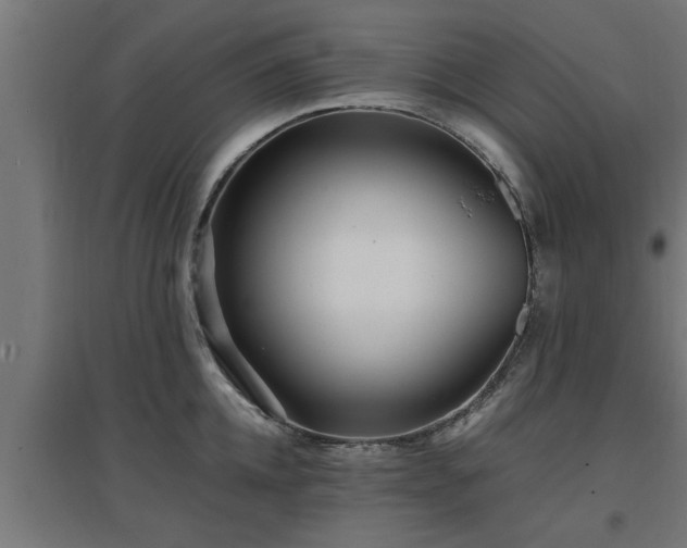 X0000094970952200712061425