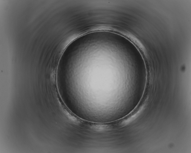 X0000094970953200712061425