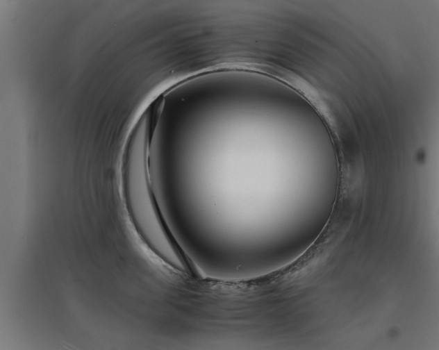 X0000094970955200712061425