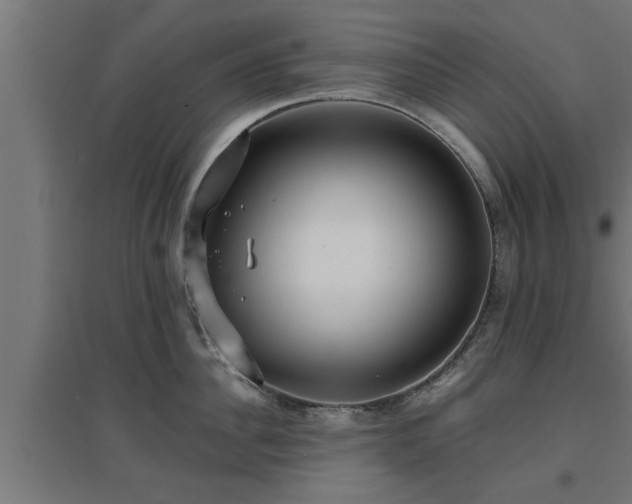 X0000094970956200712061425