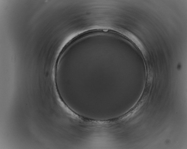 X0000094970958200712061425