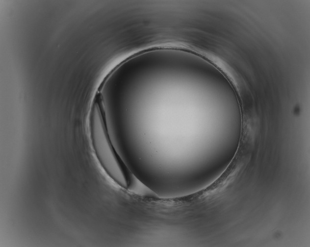 X0000094970959200712061425