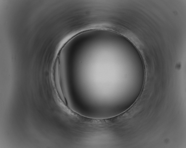 X0000094970960200712061425