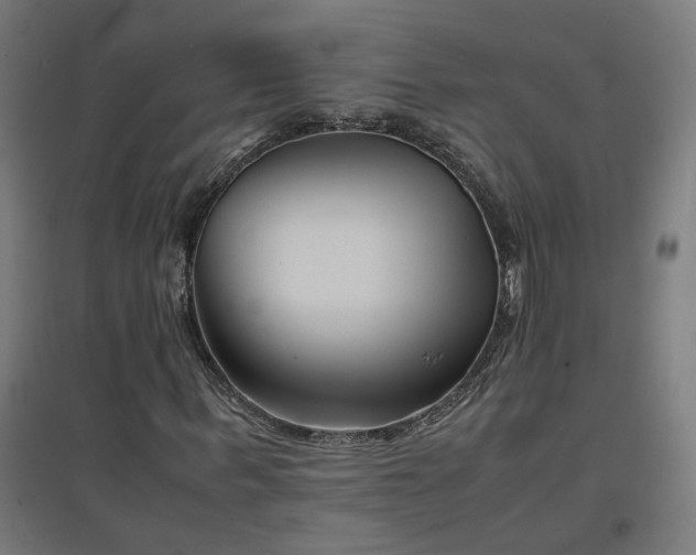 X0000094970963200712061424