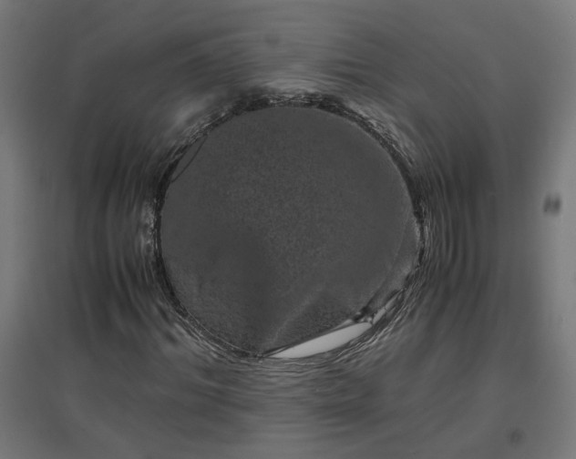 X0000094970964200712061424