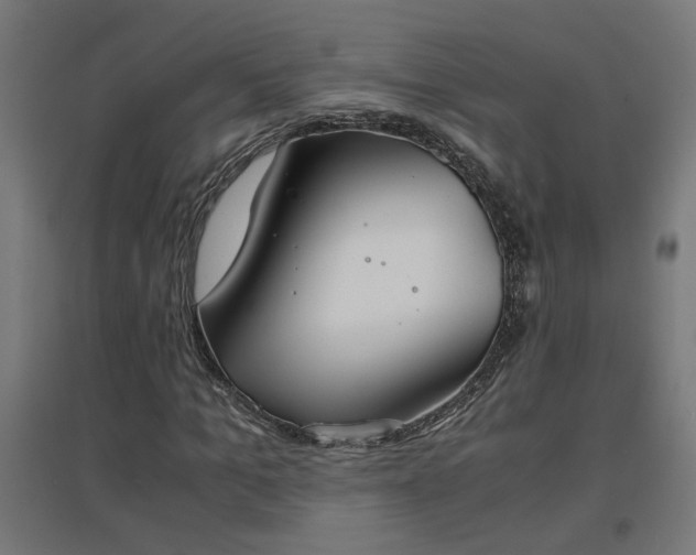 X0000094970965200712061424